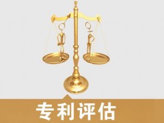 專利的價值評估，新手賣家必看